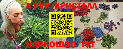 индика Кимры