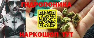 шишки Кинель