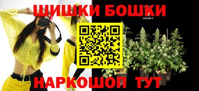 ешки Кингисепп
