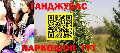 шишки Кинель