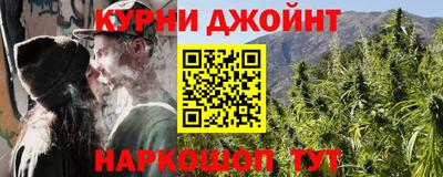 ешки Кингисепп