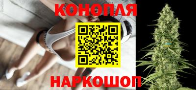 ешки Кингисепп