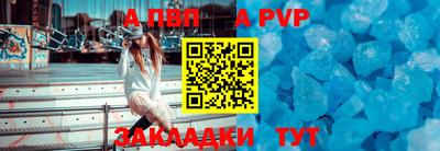ешки Кингисепп
