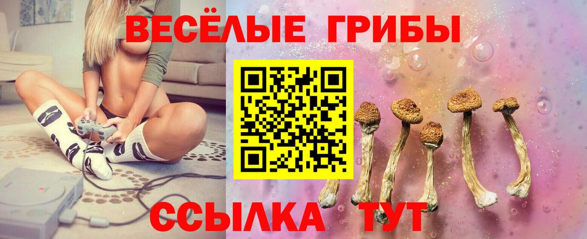 Балтийск  Псилоцибиновые грибы Magic Shrooms  Вход с VPN 